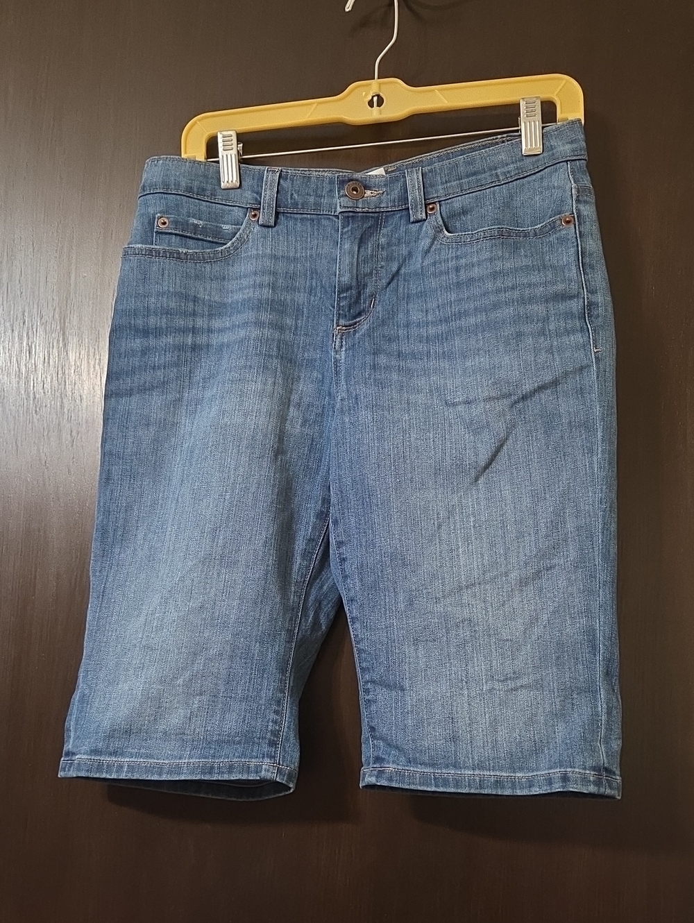 Duluth Blue  Denim shorts size 8